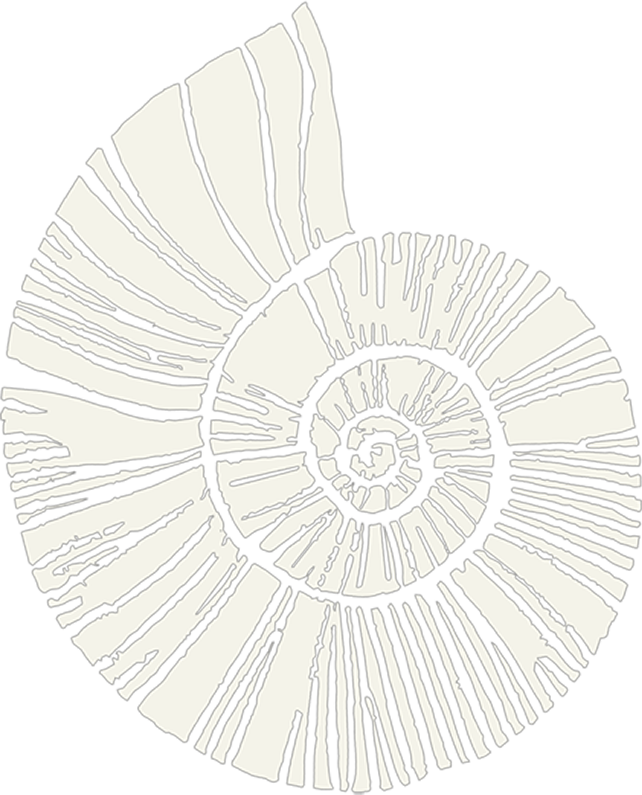 Caracol_mar